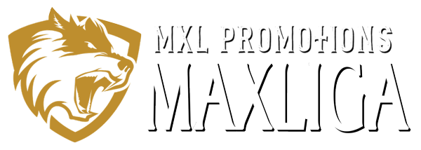 AMATORSKA LIGA BOKSERSKA MAXLIGA
